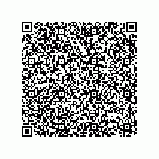 vCard 73513294639