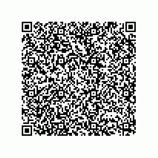 vCard 73513295744