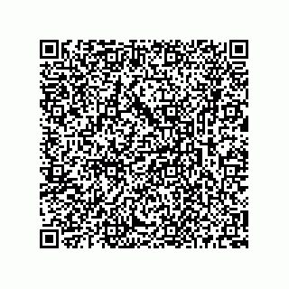 vCard 73513298104