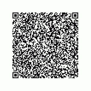 vCard 73513298204