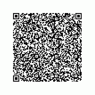 vCard 73513298275