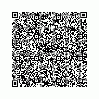 vCard 73513335501