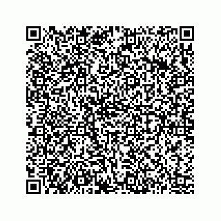 vCard 73513335511