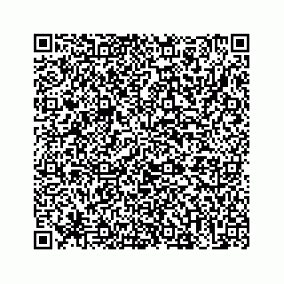 vCard 73513335524