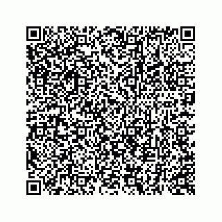 vCard 73513335532