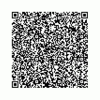 vCard 73513335533