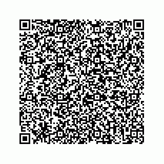 vCard 73513335537