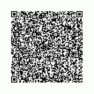 vCard 73513335538