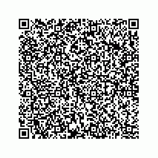 vCard 73513335550