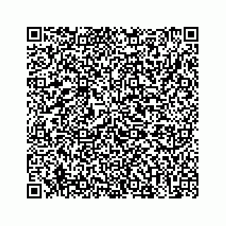 vCard 73513335554