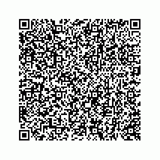 vCard 73513335555
