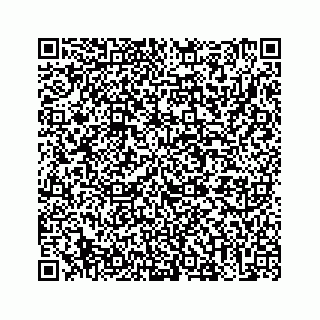 vCard 73513335571