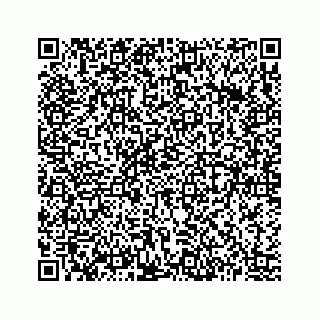 vCard 73513335599