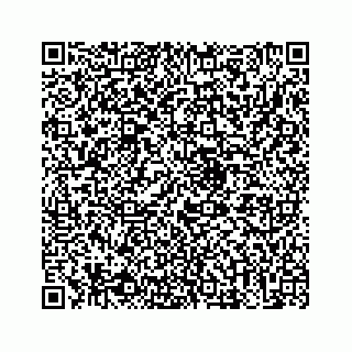 vCard 73513335639