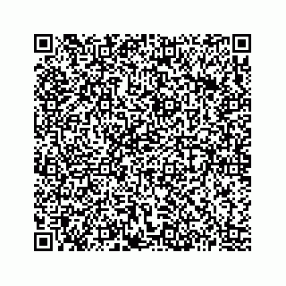 vCard 73513335679