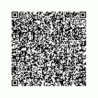 vCard 73513335680