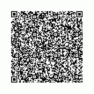 vCard 73513335685