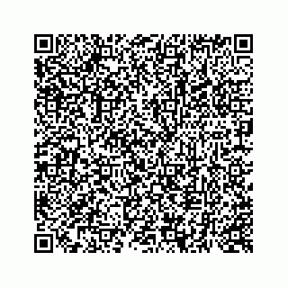 vCard 73513335693