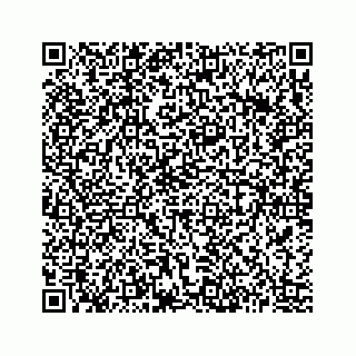 vCard 73513335700