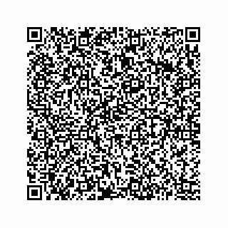 vCard 73513335743