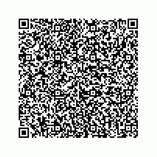 vCard 73513335744