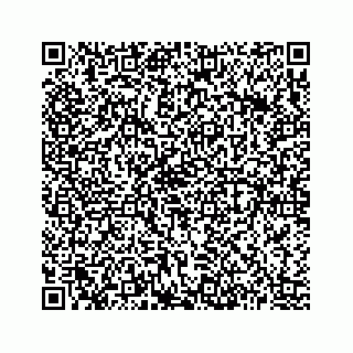 vCard 73513335745