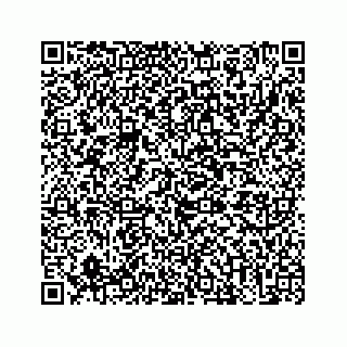 vCard 73513335778