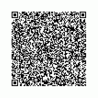 vCard 73513335780