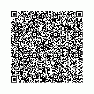 vCard 73513335781