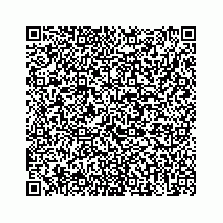 vCard 73513335801