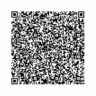 vCard 73513335808