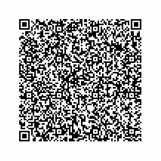 vCard 73513335839