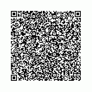 vCard 73513335871
