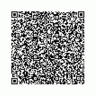 vCard 73513335874