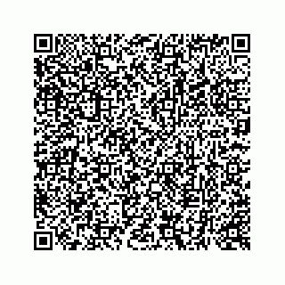 vCard 73513335889