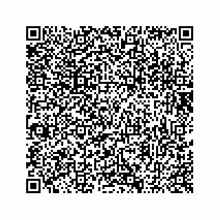 vCard 73513394799