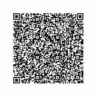 vCard 73513520038