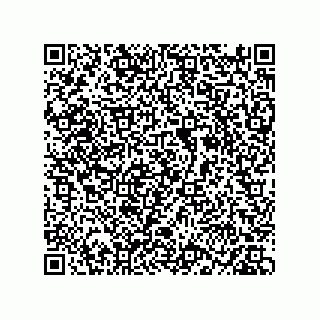 vCard 73513520531