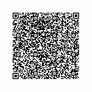 vCard 73513634131