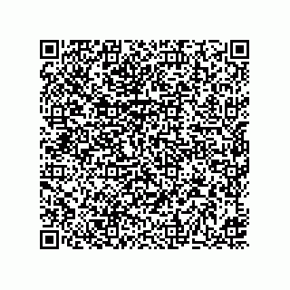 vCard 73513634133