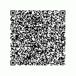 vCard 73513634287