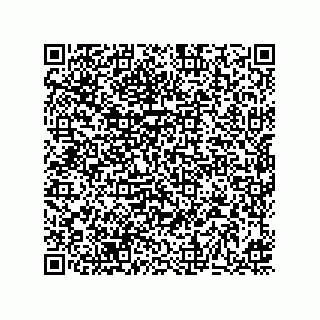 vCard 73513634291