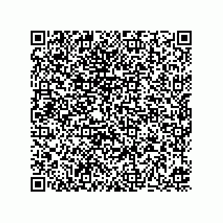 vCard 73513634381