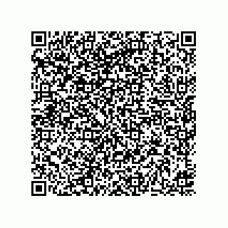 vCard 73513699335