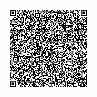 vCard 73513855521