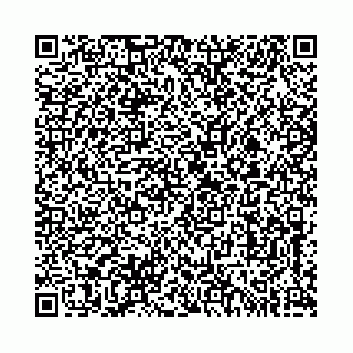 vCard 73513855533