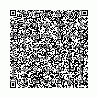 vCard 73513855548