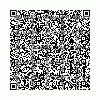 vCard 73513855550
