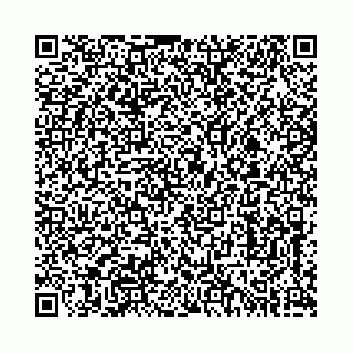 vCard 73513855551