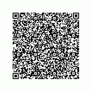 vCard 73513928100